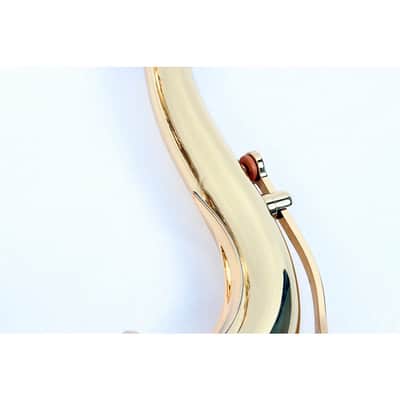 Eastman ETS481 Tenor Saxophone Regular Gold Lacquer Gold Lacquer Keys image 3