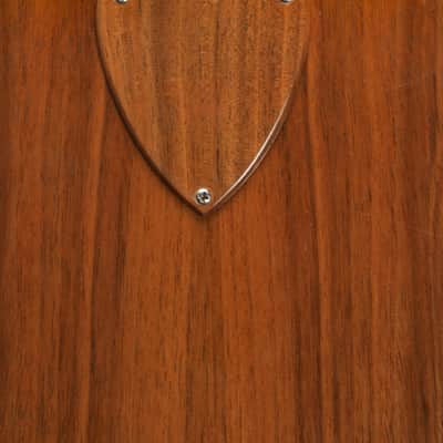 Ernie Ball Earthwood Acoustical Bass Guitar 1972 image 8