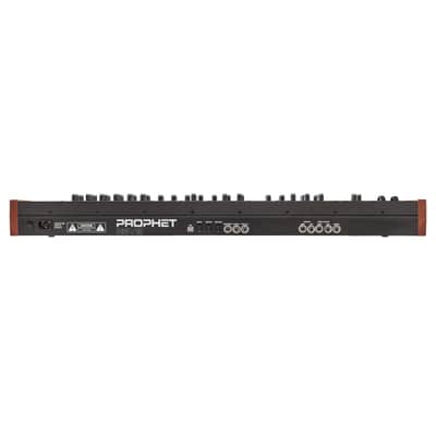 Dave Smith Instruments Sequential Prophet Rev2 8-Voice Synthesizer image 3