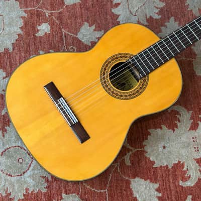 Wayne D-65 Classical Guitar imagen 1