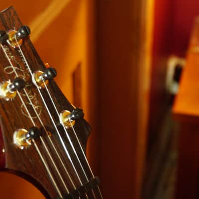 Paul Reed Smith Custom 22 Brazilian Limited Edition 10 Top (254 of 500) image 2