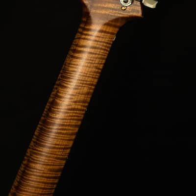 PRS Guitars Wildwood Wood Library Modern Eagle V image 3