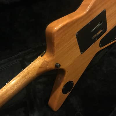 Washburn Southern Cross Dimebag Darrell BSG Customs image 3