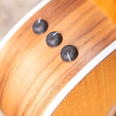 Taylor 214ce Grand Auditorium Acoustic/Electric Guitar with Gig Bag image 9