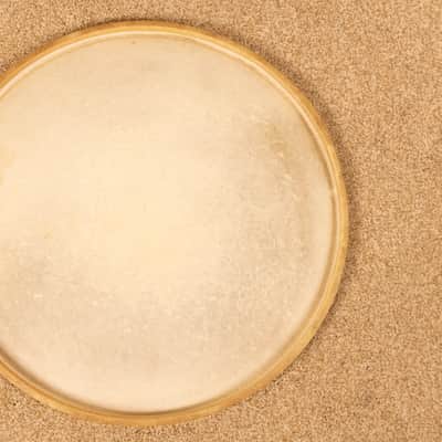 Vintage Slingerland 16" Calfskin Head image 7