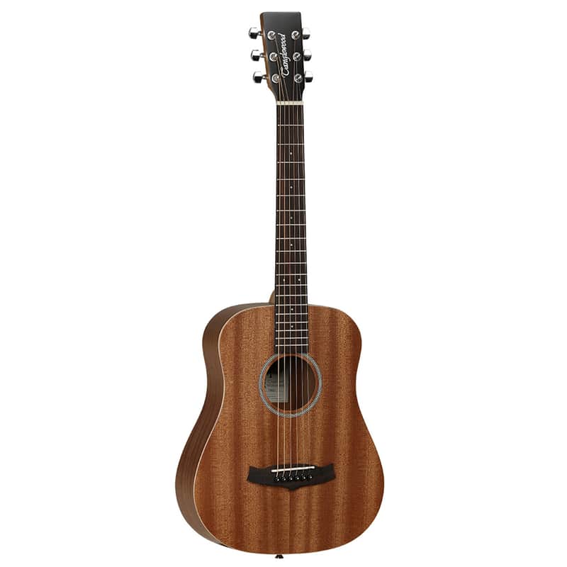 Tanglewood Winterleaf Acoustic Guitar image 1