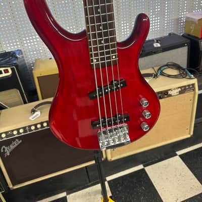 Arbor 5 string bass Red Jazz style image 14