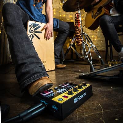 Roland EC-10M EL Cajon Mic Processor image 8
