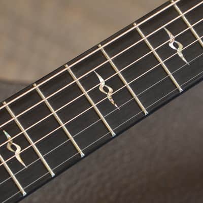 Unplayed! 2014 Taylor Custom GA Madagascar Ebony European Spruce Acoustic Guitar Natural + OHSC image 9