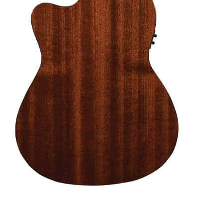 Jasmine JC27CE Cutaway Classical Acoustic Electric Guitar image 2