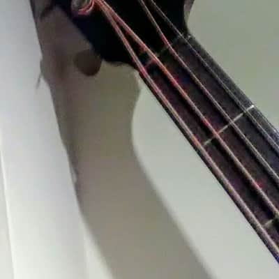 Gibson "Style-J" Mando-bass  1919. With Original Canvas Bag and "Orientation" Pegs! image 10
