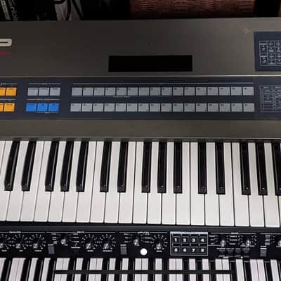 Roland JX-8P 61-Key Polyphonic Synthesizer image 3