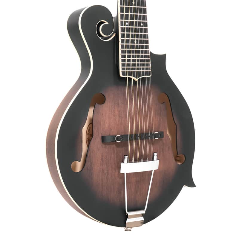 Gold Tone F-12: 12-string F-style Mando-Guitar with Pickup and Case image 1