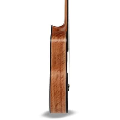 Manuel Rodriguez Tesoro de Camerún Limited Edition Solid Cedar Top & Cedar Neck 6-String Classical Acoustic Guitar w/Hard Case & Footrest image 6