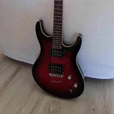 Washburn RX22, 2010, Flame Wine Sunburst, VG++ image 1