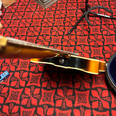 Danelectro Coral Firefly 1968 Sunburst image 9