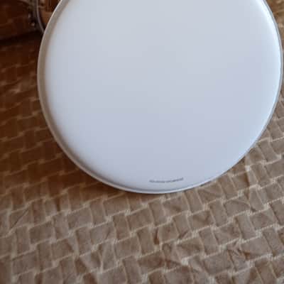 Aquarian TCBR14 limited edition Buddy Rich drum head 14 2025 - White image 2