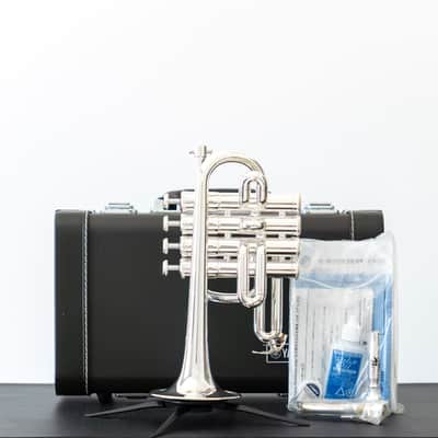 Yamaha YTR-6810S Bb/A Piccolo Trumpet (SN D969xx) image 2