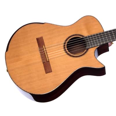 Maestro Guitars Crossover Series Vera - Modern 00 Cutaway Nylon String - Custom Boutique Acoustic Guitar - NEW! image 3