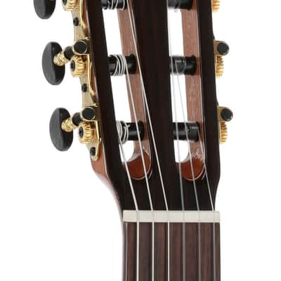Manuel Rodriguez Cortado Aged Eucalyptus 4/4 Gloss E-Acoustic Cutaway (501464) image 6