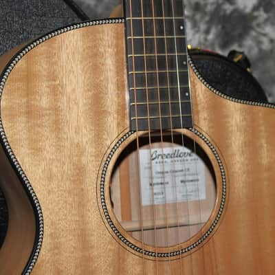 2023 Breedlove - Oregon Concert CE - Myrtlewood image 2