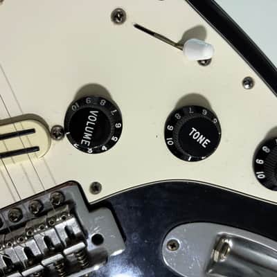 Fender Standard Stratocaster with Billy Corgan Pickups image 9