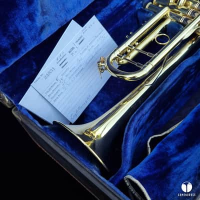 0.462 Mt Vernon Vincent Bach Stradivarius Lightweight STAR 25 trumpet case mouthpiece  gamonbrass image 3