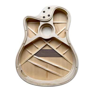 L.R. Baggs AEG-1 Acoustic Electric Guitar - Torrefied Sitka Spruce image 6