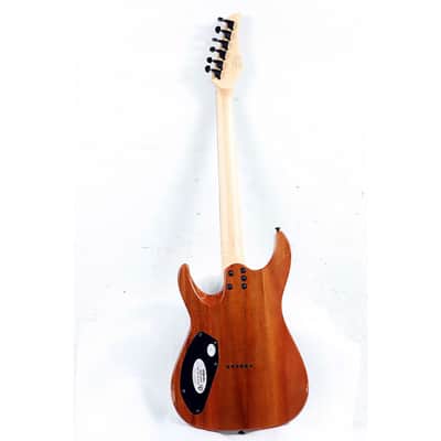 Schecter Guitar Research CR-6 Electric Guitar Regular Black Cherry Burst image 2