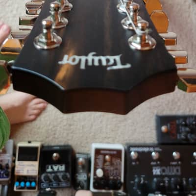 Taylor T5z-12 Classic 12-String with Tropical Mahogany Top 2017 - Present - Natural image 9