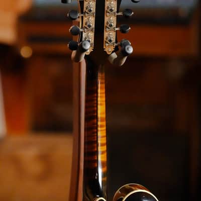 Gold Tone Grandmaster Mandolin Elite - Burst Finish #5307 image 10