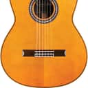 Cordoba C12 CD Classical Guitar, Solid Cedar Top