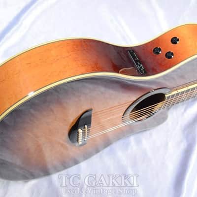 Yamaha Apx 15 Bm image 7
