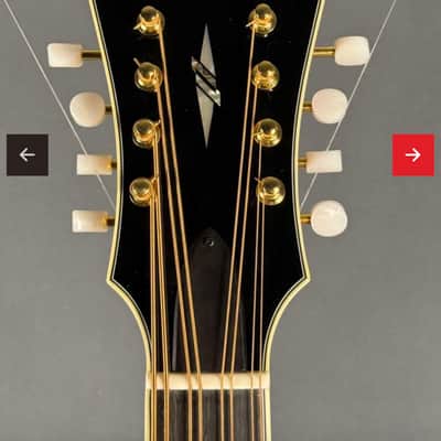 Gently Used Eastman MDC804 Mandocello image 5