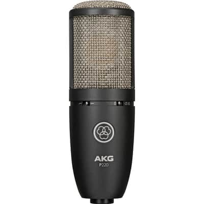 Akg P220 image 2