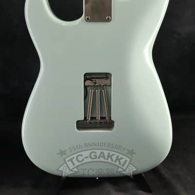 TMG Guitar TMG Guitar Dover HSS Sonic Blue image 6