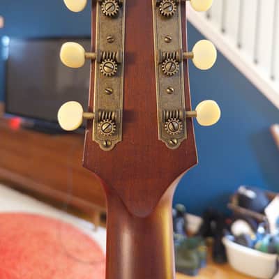 Iris CH 2024 with LR Baggs Anthem pickup - Natural Mahogany image 8