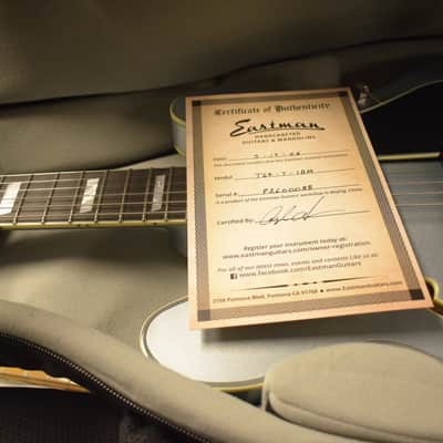 Eastman T64-T IBM Trapeze Iced Blue Metallic image 12