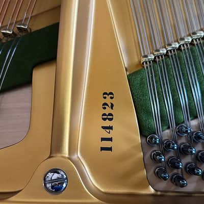 C. Bechstein B 1919 - Ebony Polish image 14
