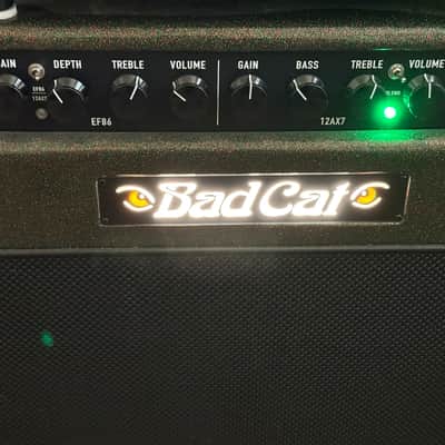 Bad Cat Era 30 2-Channel 30-Watt Guitar Amp Combo 2026 image 2