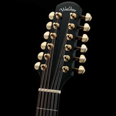 Walden D642RCEB-G Natura Solid Sitka Top-Mahogany 12-String Armrest Dreadnought Acoustic Cutaway-Electric Gloss Black w/Gigbag image 7
