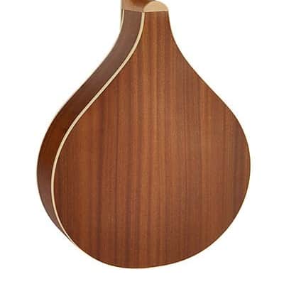 Richwood Master Series RIBZ-40 Irish Bouzouki image 2