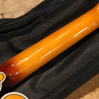 Rover RM-75 Deluxe Student F-Model Mandolin Flamed Maple image 7