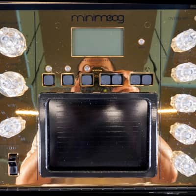 Moog Minimoog Voyager 10th Anniversary Gold Edition 44-Key Monophonic Synthesizer 2012 image 3