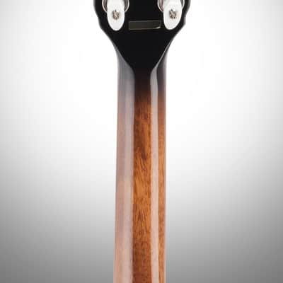 Epiphone Mayfair 5-String Banjo, Red Brown Mahogany image 8