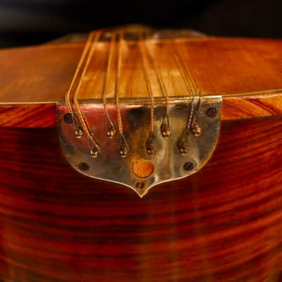 Vintage 1925 Prof. Raffaele Calaci Mandolin image 9