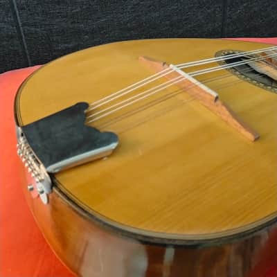 "il sigillo" ( liuteria estudiantina). Piatto 1960 - Natural image 5