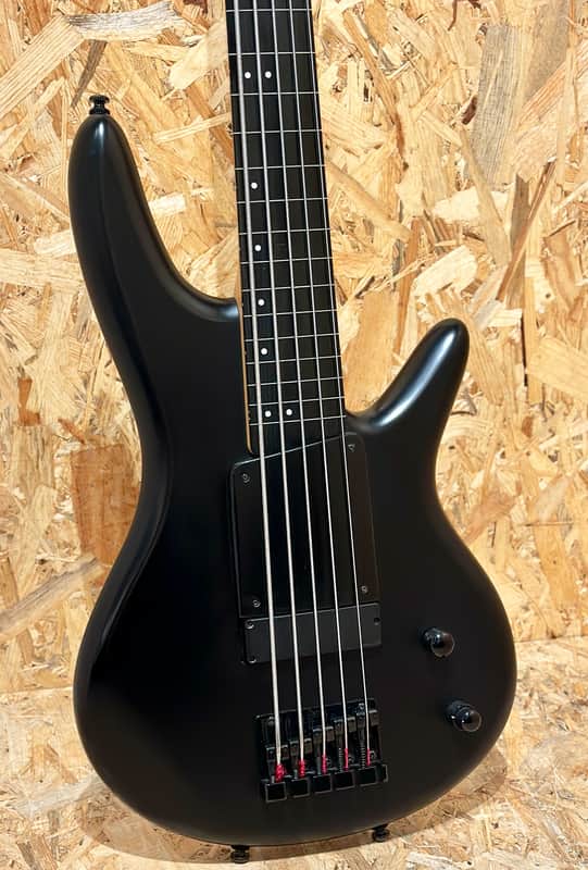 Ibanez GWB35-BKF Gary Willis Signature Soundgear Fretless