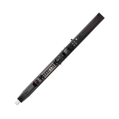 Akai Professional EWI5000 Electronic Wind Instrument and MIDI Controller with Rechargeable Battery and SONiVOX Sound Library image 5
