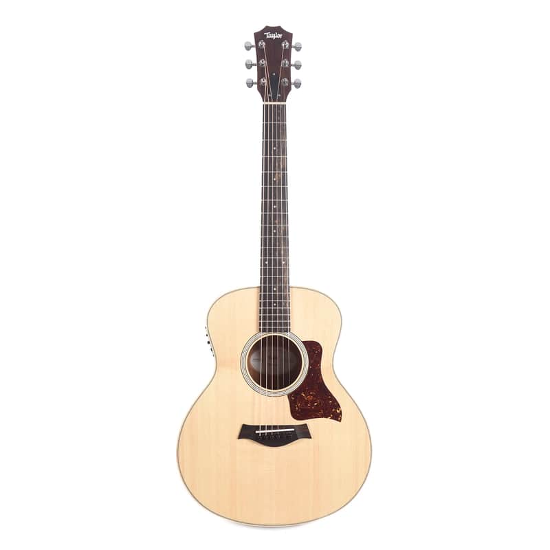 Taylor GS Mini-e LTD image 1